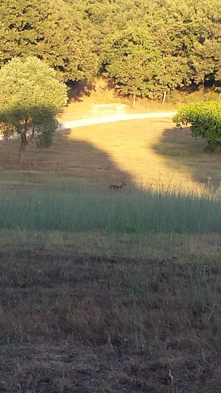 Agriturismo Bronzivalle Riotorto Dış mekan fotoğraf